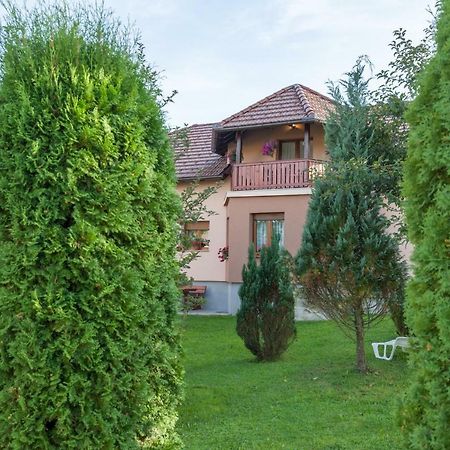 Apartment Ivan & Iva Gornji Vaganac 외부 사진