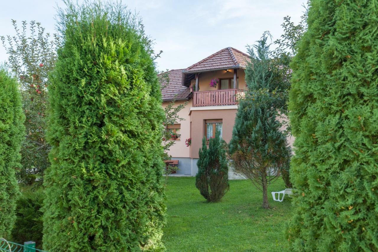 Apartment Ivan & Iva Gornji Vaganac 외부 사진